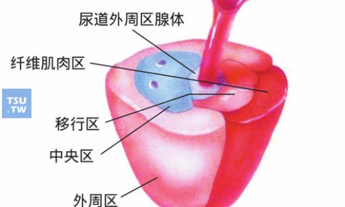 达比加群酯胶囊的副作用-达比加群酯胶囊多少钱一盒-达比加群酯胶囊价格,中国达比加群酯胶囊临床禁忌网站